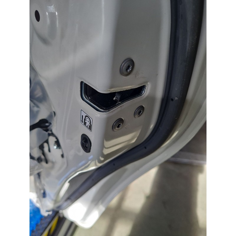 CERRADURA PUERTA TRASERA DERECHA 6905005051 