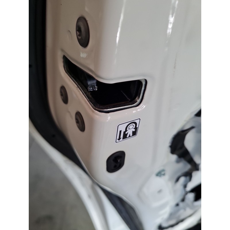 CERRADURA PUERTA TRASERA IZQUIERDA 6906005051 
