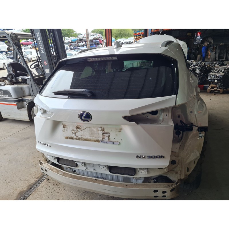 PORTON TRASERO 6700578060 