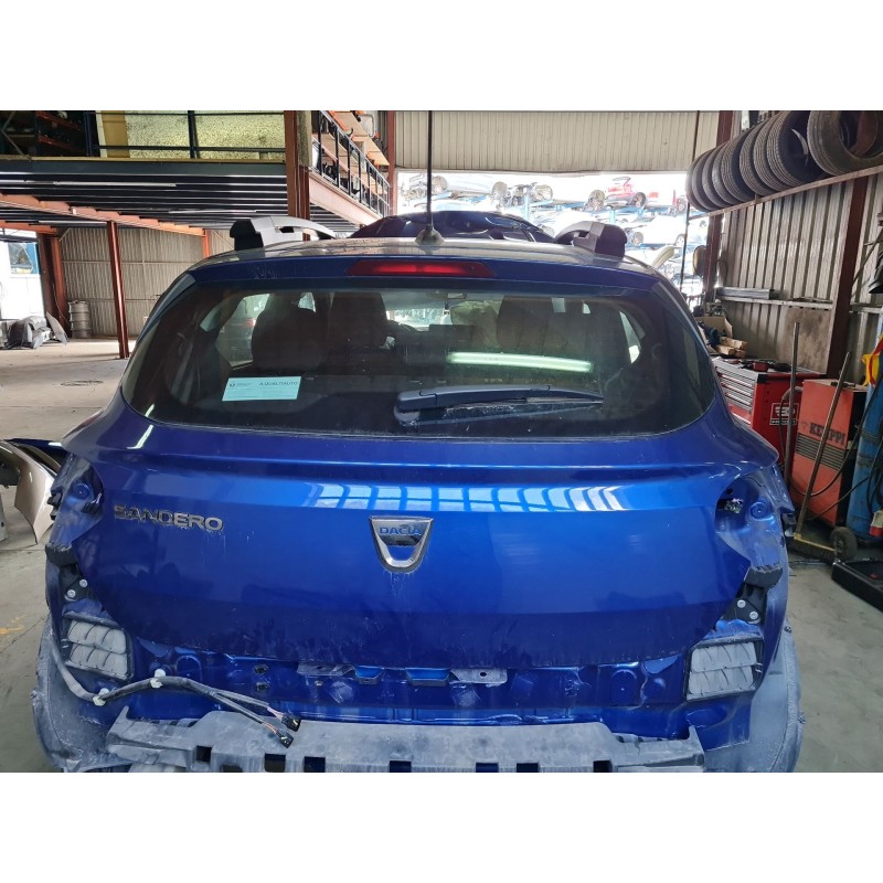 PORTON TRASERO 901006055R 