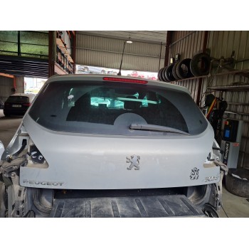 PORTON TRASERO 8701AP 