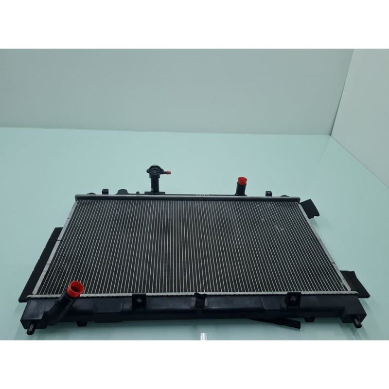 RADIADOR AGUA PA66PA612GF33 