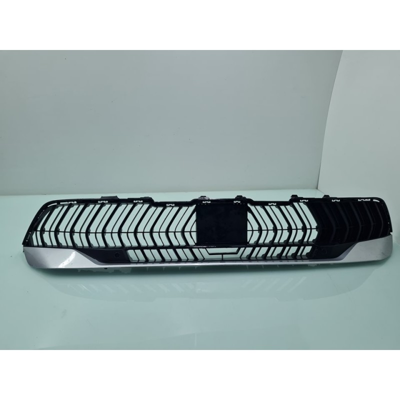 MOLDURAS DELANTERAS 9843222877 