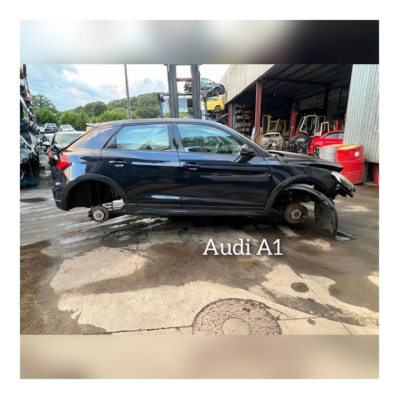 AUDI A1 CITYCARVER (GBH)