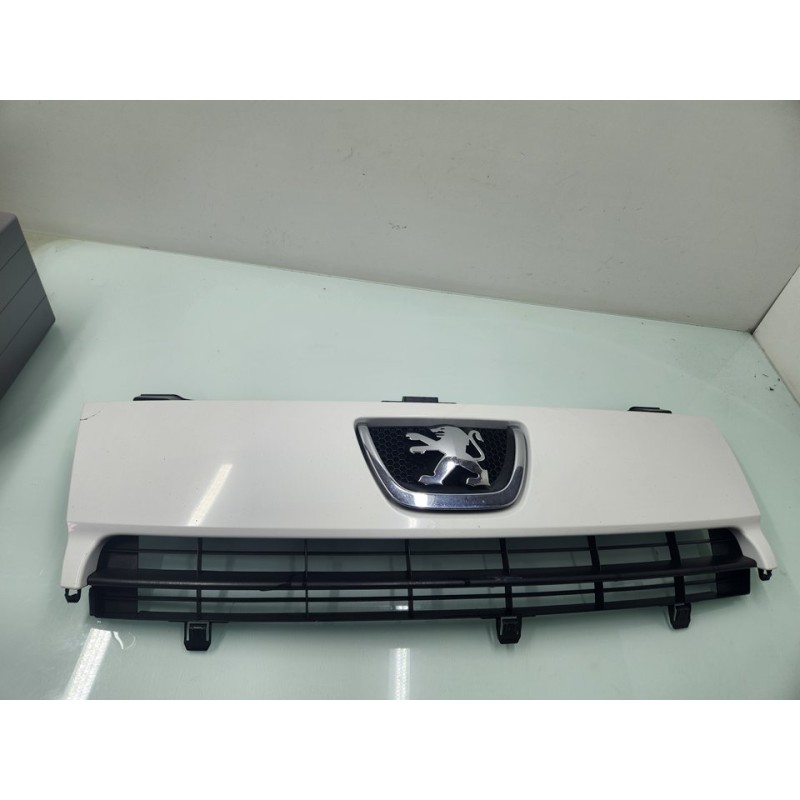 REJILLA DELANTERA 1497650077 
