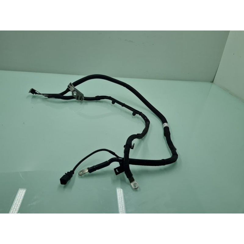 CABLEADO ELECTRICO 80A971228AG 