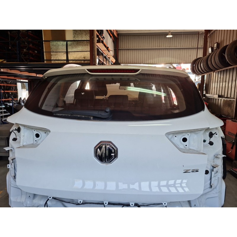PORTON TRASERO 10691021 