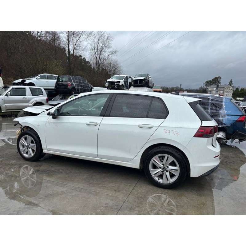 volkswagen golf viii lim. (cd1) del año 2023