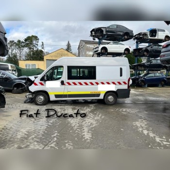 FIAT DUCATO COMBI TA 33 (290)