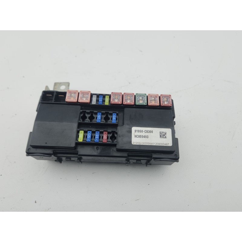 CAJA RELES / FUSIBLES 91950C8300 