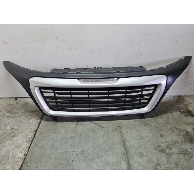REJILLA DELANTERA 1314847070 
