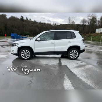 VOLKSWAGEN TIGUAN (5N2)