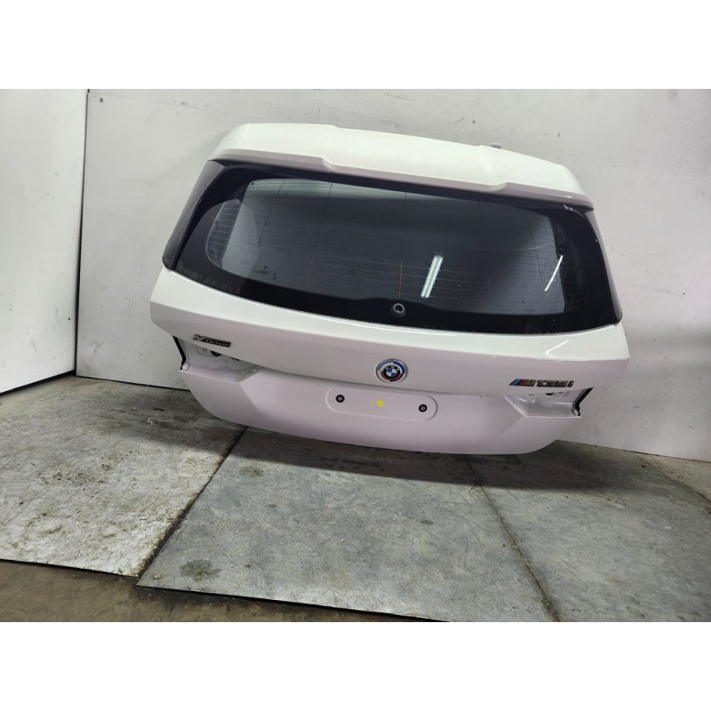 PORTON TRASERO 41009627390 
