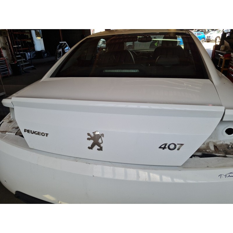 PORTON TRASERO 860686 