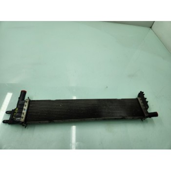 RADIADOR AGUA 214108831R 