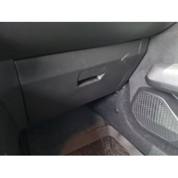GUANTERA 685009119R 