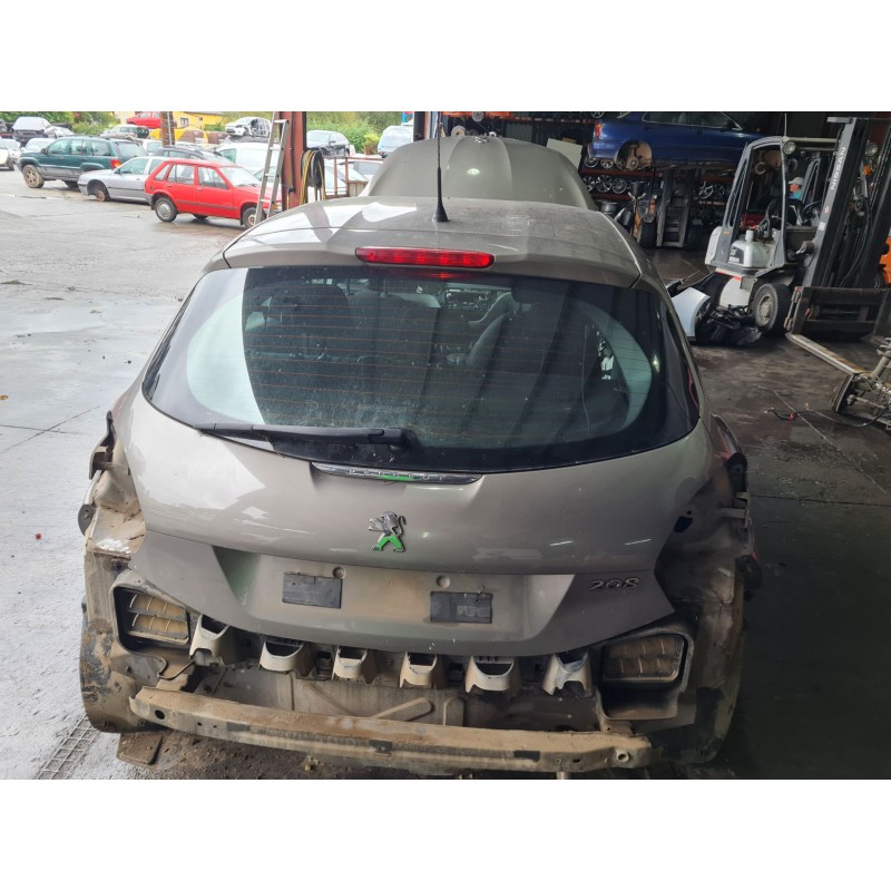 PORTON TRASERO 9672664480 