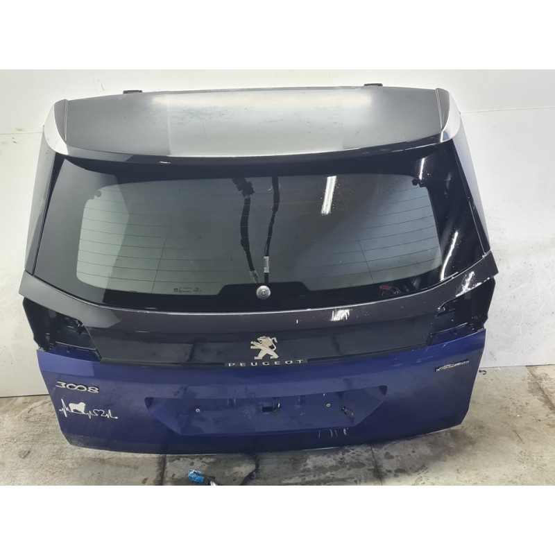 PORTON TRASERO 