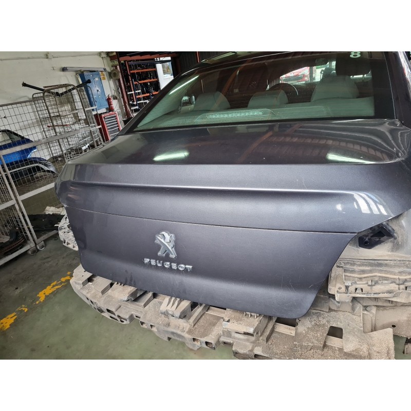PORTON TRASERO 9808850580 