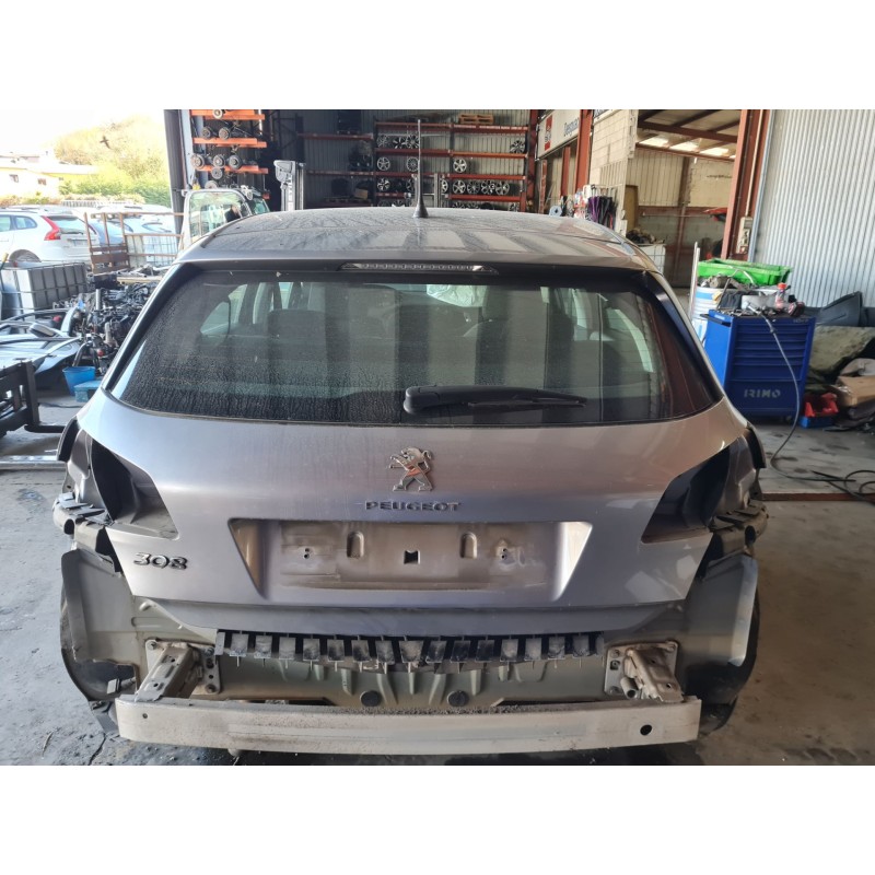 PORTON TRASERO 1610669880 