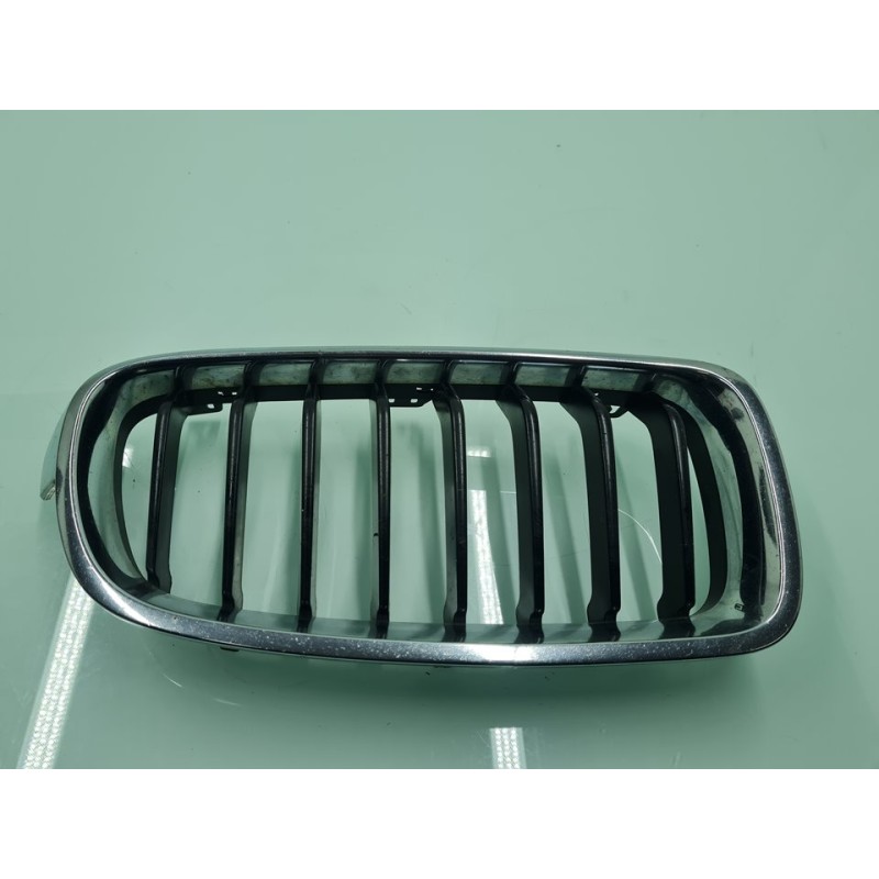 REJILLA PARAGOLPES DELANTERO 51137255412 
