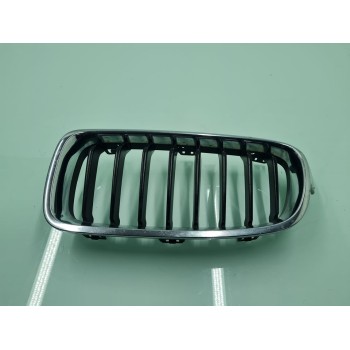 REJILLA PARAGOLPES DELANTERO 51137255411 