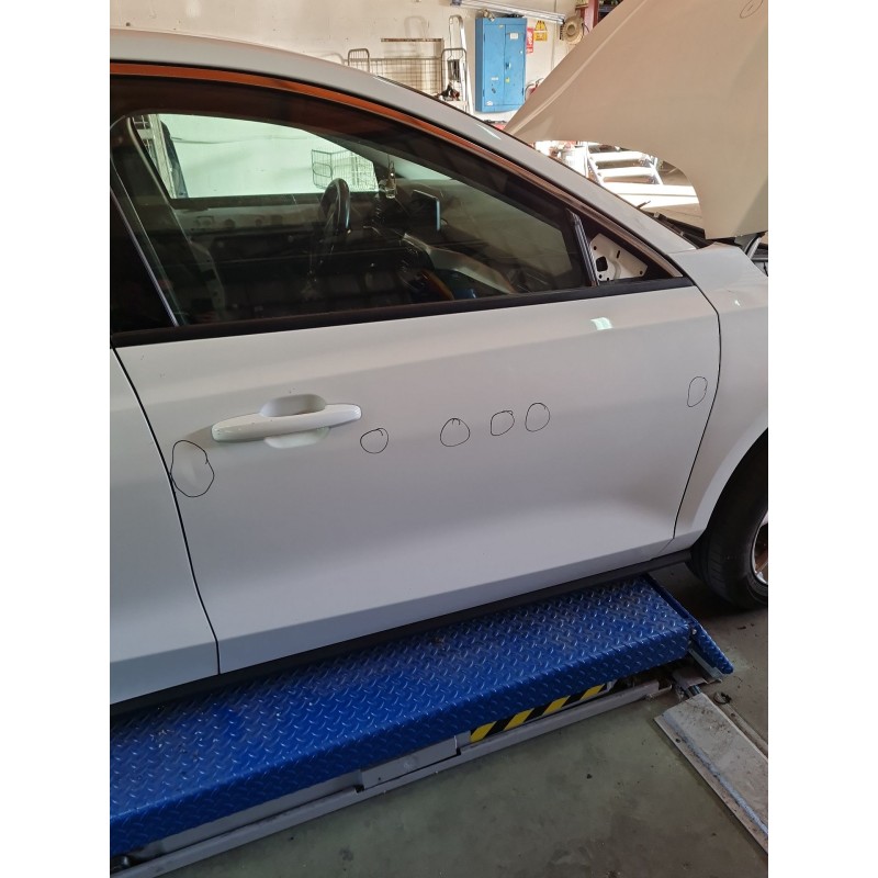 PUERTA DELANTERA DERECHA PJX7BA20124AG 